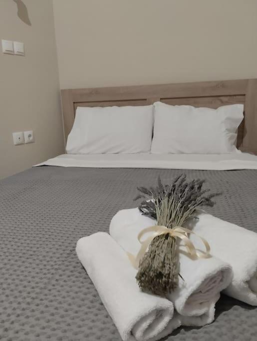 δ5-τα του δασκάλου Apartment Filiatra