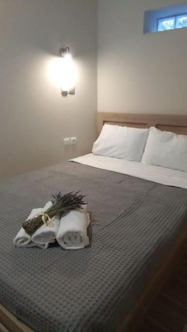 δ5-τα του δασκάλου Apartament